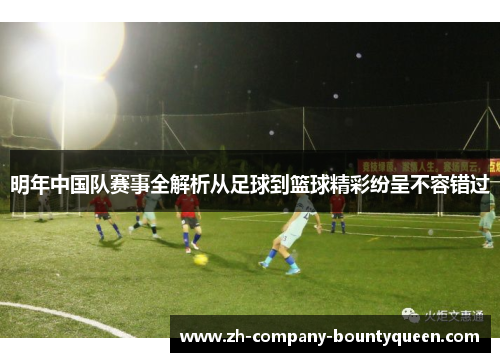 明年中国队赛事全解析从足球到篮球精彩纷呈不容错过