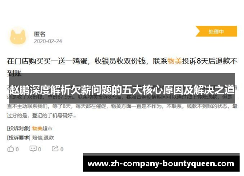 赵鹏深度解析欠薪问题的五大核心原因及解决之道