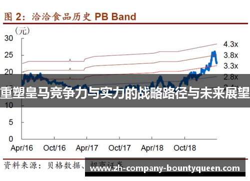 重塑皇马竞争力与实力的战略路径与未来展望 重塑皇马竞争力与实力的战略路径与未来展望